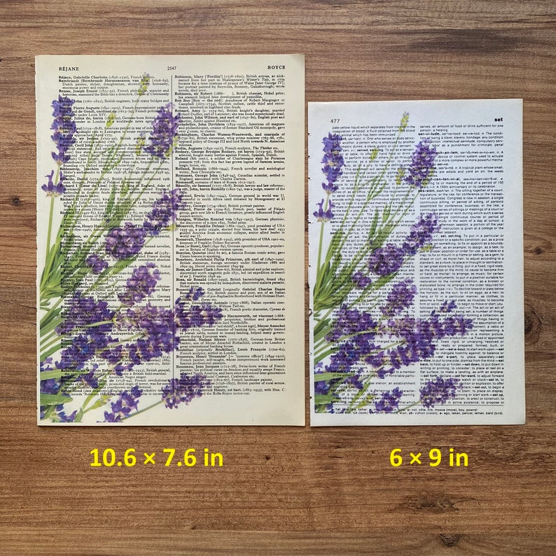 Lavender Dictionary Print, Bathroom Decor, Lavender Poster, Farmhouse Decor, Floral Wall Decor, Lavender flowers Wall Art, Lavender Painting image 11