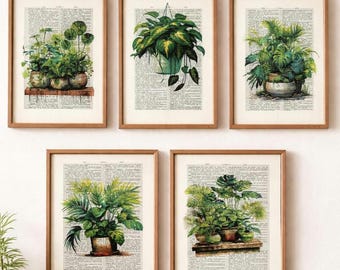 Vintage Botanical Dictionary Print Set, Antique Book Page Wall Art, Indoor Plant Illustration – Rustic Greenery Decor – Gift for Plant Lover