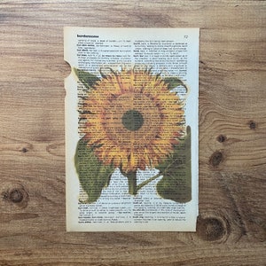 May include: A vintage dictionary page with the word "burdensome" highlighted. The page is decorated with a yellow sunflower with brown and orange petals.