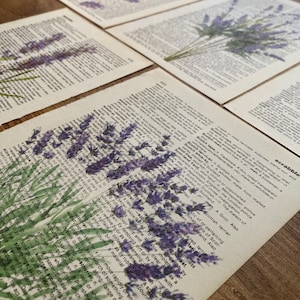 Lavender Dictionary Print, Bathroom Decor, Lavender Poster, Farmhouse Decor, Floral Wall Decor, Lavender flowers Wall Art, Lavender Painting image 3
