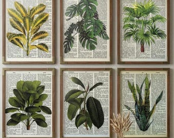 May include: Six framed botanical prints showcasing diverse plants, such as a yellow and green leafed plant, a monstera, and a palm tree. The prints are set against a backdrop of vintage book pages and framed in brown wood.