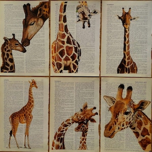 Giraffe Dictionary Print Set | 6 Piece Vintage Wall Art | Safari Animal Illustration | Antique Book Page Poster | Wildlife Home Decor