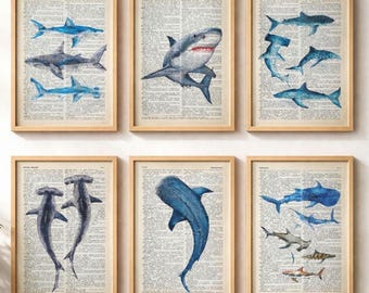 Shark Print, Whale Print, Shark Poster, Watercolor Shark, Maritime Decor, Surfing Poster, Beach House Sign, Surfer Gifts, Shark Wall Decor