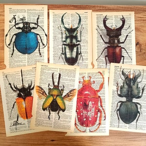 Stampe di insetti su pagina di libro antico, set di 7 stampe artistiche di insetti su pagina di dizionario antico, poster di insetti vintage, regalo per gli amanti degli insetti, arte murale di insetti, coleottero