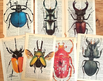 Bugs Prints on Antique Book Page, Set of 7 Insect Art Print on Old Dictionary Page, Vintage Bug Poster, Bug Lover Gift, Bug Wall Art, Beetle