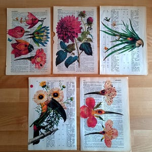 Stampa botanica di uccelli, poster del mercato dei fiori, poster di uccelli, arte di vivaio di uccelli, arte floreale di uccelli, arte floreale da parete, poster di uccelli, regalo per gli amanti degli uccelli