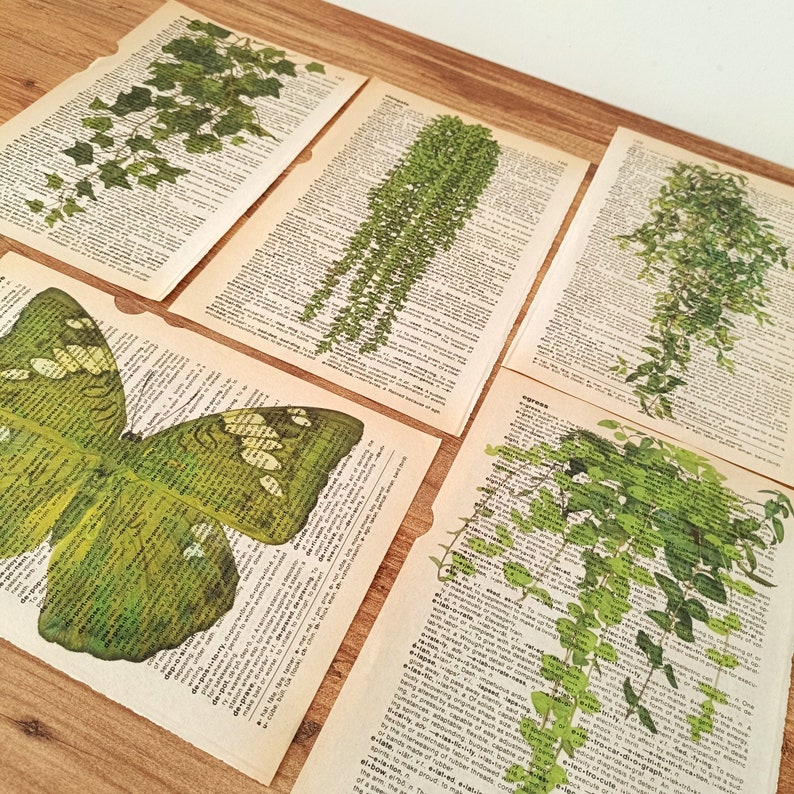 Op de afbeelding: Vijf pagina's uit een vintage woordenboek met groene botanische illustraties van klimop en een vlinder. De pagina's zijn licht vergeeld en hebben een versleten, antieke uitstraling.