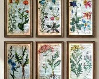 Antique Botanical Art on Original Dictionary Page, Vintage Botanical Wall Art, Old Book Page Art, Botanical Gift, Dark Academia Decor