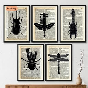 Insekt Musikinstrument Wörterbuch Druck | Vintage Käfer-Kunst-Wand-Dekor | Entomologie Illustration Poster | Musik-Liebhaber-Geschenk