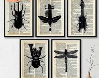 Insect Music Instrument Dictionary Print | Vintage Bug Art Wall Decor | Entomology Illustration Poster | Music Lover Gift