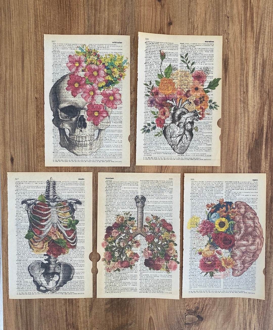 Set of 5 Art Prints on Old Dictionary Page Anatomy on Antique - Etsy