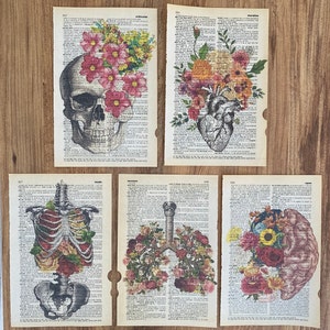 Set of 5 art prints on old dictionary page, anatomy on antique book page print, human anatomy posters, flower wall art, anatomy art..