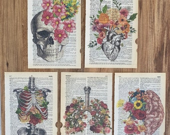 Set of 5 art prints on old dictionary page, anatomy on antique book page print, human anatomy posters, flower wall art, anatomy art..