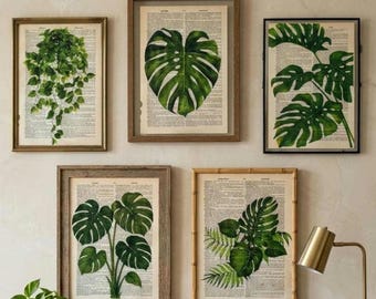 Monstera Dictionary Page Print Set of 5, Vintage Botanical Wall Art, Plant Lover Gift, Swiss Cheese Plant Decor, Cottagecore Aesthetic
