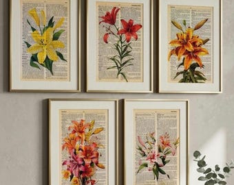 Set of 5 Lily Dictionary Print, Lily Wall Art, Lily Watercolor Art, Lily of the Valley, Flower Press, Lily Wall Art