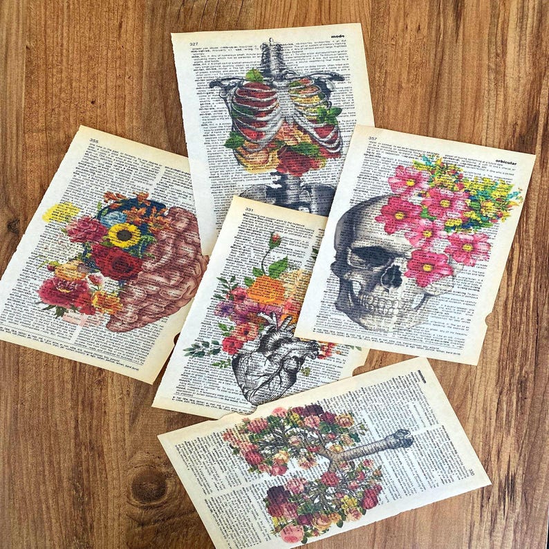 Set of 5 Art Prints on Old Dictionary Page, Anatomy on Antique Book ...