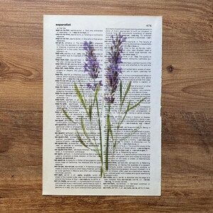Lavender Dictionary Print, Bathroom Decor, Lavender Poster, Farmhouse Decor, Floral Wall Decor, Lavender flowers Wall Art, Lavender Painting image 6