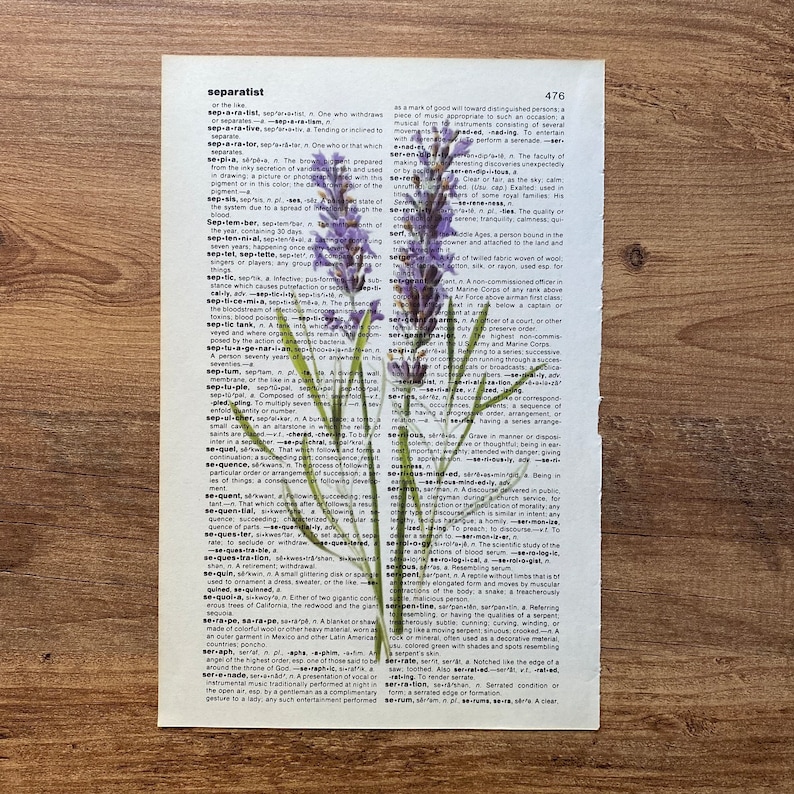 Lavender Dictionary Print, Bathroom Decor, Lavender Poster, Farmhouse Decor, Floral Wall Decor, Lavender flowers Wall Art, Lavender Painting image 6