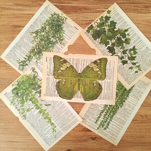 Op de afbeelding: Een groene en witte vlinder met zwarte markeringen wordt weergegeven op een pagina van een oud boek. Het boek is omgeven door vijf pagina's van hetzelfde boek, elk met een andere groene, bladerrijke plant.