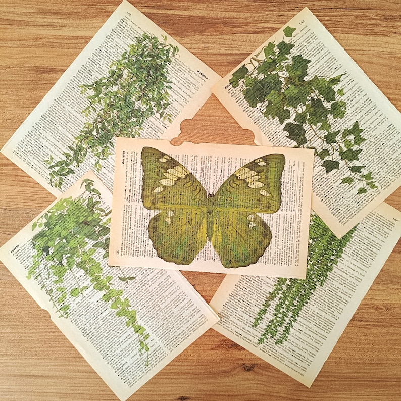 Op de afbeelding: Een groene en witte vlinder met zwarte markeringen wordt weergegeven op een pagina van een oud boek. Het boek is omgeven door vijf pagina's van hetzelfde boek, elk met een andere groene, bladerrijke plant.