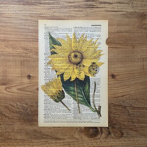 May include: A vintage dictionary page with a close-up image of a sunflower. The page features the word "asymmetry" and its definition. The sunflower is yellow with a brown center and green leaves.