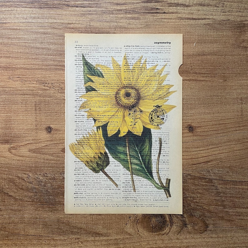 May include: A vintage dictionary page with a close-up image of a sunflower. The page features the word "asymmetry" and its definition. The sunflower is yellow with a brown center and green leaves.