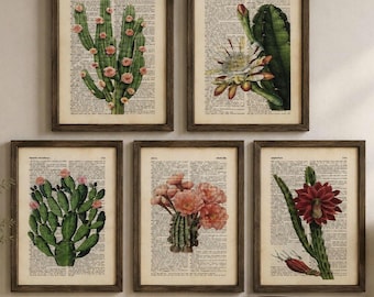 Set of 5 cactus art prints on old dictionary page, cactus theme on book page, floral posters, vintage desert art print, cactus digital print
