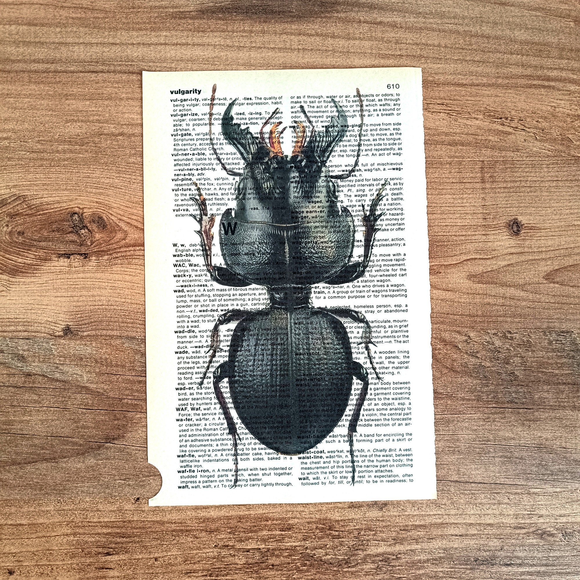 Bugs Prints on Antique Book Page, Set of 7 Insect Art Print on Old ...