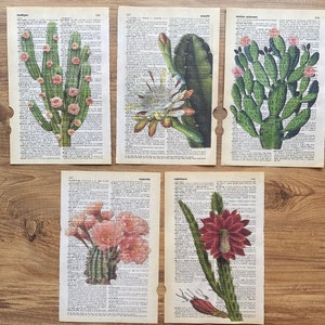 5er Set Kaktus Kunstdruck auf alter Wörterbuchseite, Kaktus Thema auf Buchseite, florale Poster, Vintage Wüste Kunstdruck, Kaktus Digitaldruck