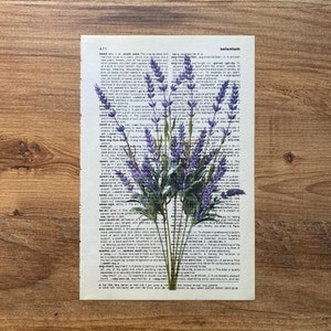 Lavender Dictionary Print, Bathroom Decor, Lavender Poster, Farmhouse Decor, Floral Wall Decor, Lavender flowers Wall Art, Lavender Painting image 8