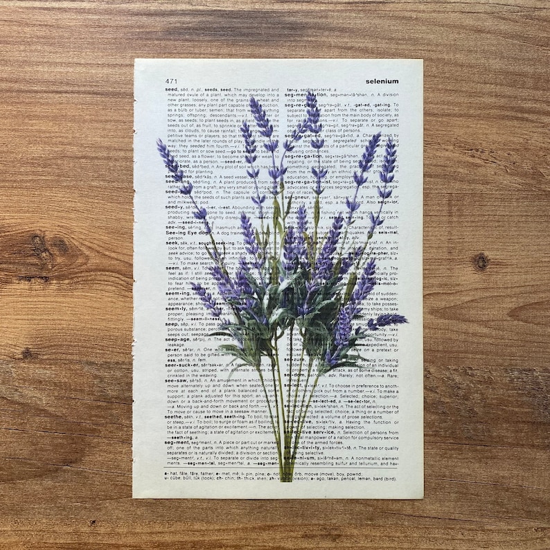 Lavender Dictionary Print, Bathroom Decor, Lavender Poster, Farmhouse Decor, Floral Wall Decor, Lavender flowers Wall Art, Lavender Painting image 8