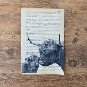 May include: A monochrome print of a Highland cow and calf superimposed on a dictionary page. The image shows a close-up of the animals, with the dictionary text visible. The print is on a piece of paper, with a wooden background.