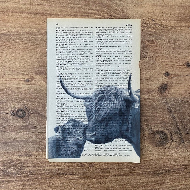 May include: A monochrome print of a Highland cow and calf superimposed on a dictionary page. The image shows a close-up of the animals, with the dictionary text visible. The print is on a piece of paper, with a wooden background.
