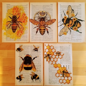 Set of 5 art prints on old dictionary page, bee and honey theme on antique book page, bee posters, minimalistic yellow wall art, bee art..