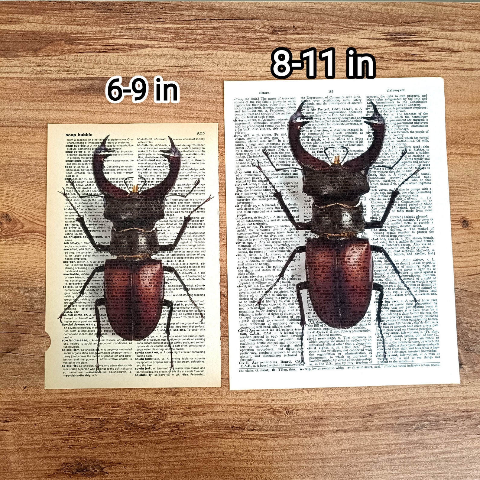 Bugs Prints on Antique Book Page, Set of 7 Insect Art Print on Old ...