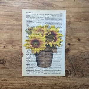May include: A dictionary page with the word "mandible" highlighted. Two sunflowers are in a pot, with the stems and leaves extending over the page. The sunflowers are yellow with dark brown centers.