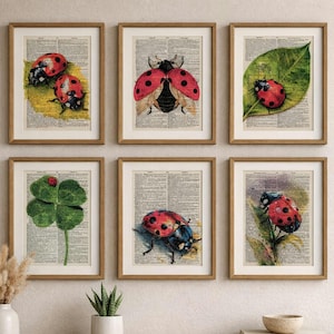 Marienkäfer Wörterbuch Kunstdruck Set von 6, Vintage Wörterbuch Seite Wandkunst, Marienkäfer Wanddekor, Botanische Insekt Druck, Antike Buch Seite Kunst