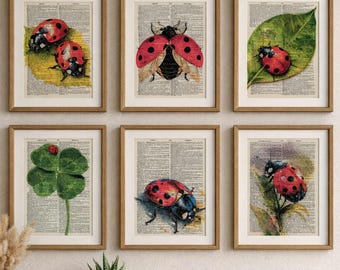 Ladybug Dictionary Art Print Set of 6, Vintage Dictionary Page Wall Art, Ladybug Wall Decor, Botanical Insect Print, Antique Book Page Art