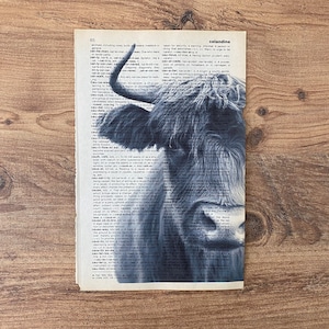 May include: A monochrome print of a Highland cow is superimposed on a vintage dictionary page. The cow's detailed features stand out against the aged paper and text, creating a unique piece of wall art.