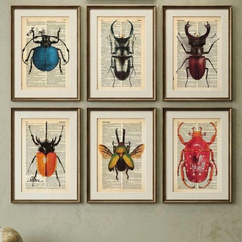 Bugs Prints on Antique Book Page, Set of 7 Insect Art Print on Old ...