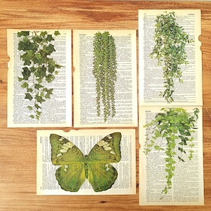 Vintage Green Floral Dictionary Print Boho Wall Art Green Leaves Flower Market Prints Vintage Butterfly Line Art Mint Green Retro Print