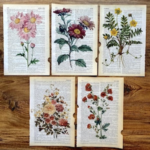 Set of 5 flower dictionary print, botanical art set, floral wall prints, botanical poster, flower market prints, nature prints, antique art