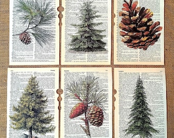 Impresión de piña, decoración de piña, pino perenne, arte de piña, impresión botánica, decoración de cabaña, piña, arte de pared forestal, Kiefer