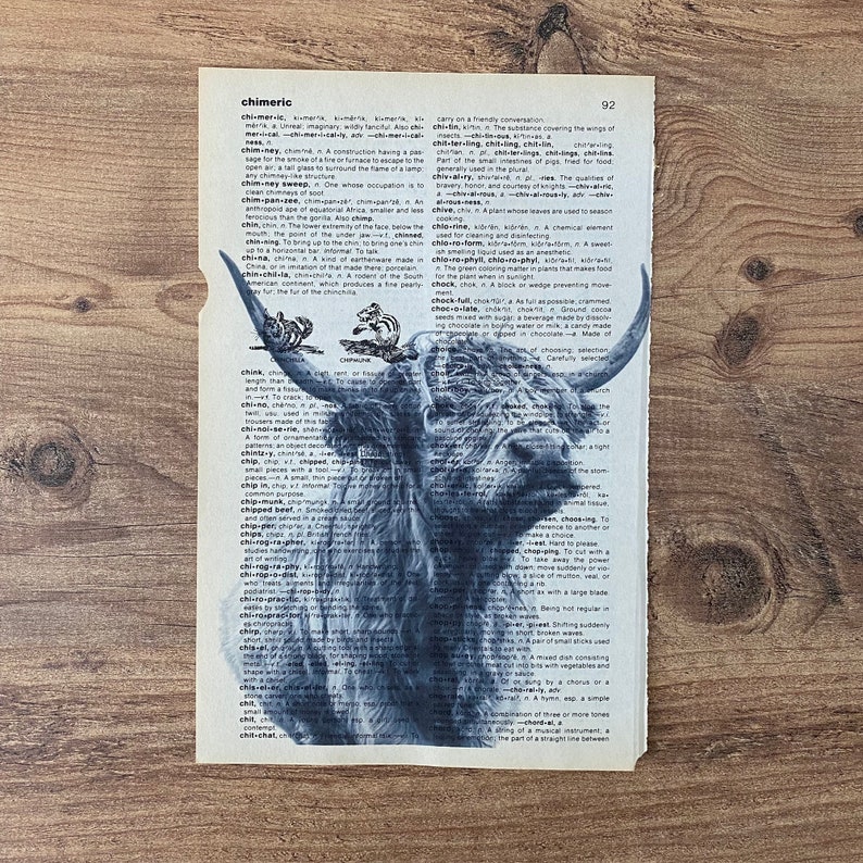 May include: A monochrome print of a Highland cow, set against a dictionary page. The cow's shaggy coat and horns are clearly defined. The word "chimeric" is printed at the top of the page.