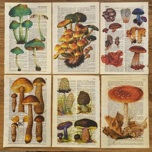 Set of 6 Mushroom Dictionary Print, Mushroom Poster, Vintage Mushroom, Botanical Art Print, Morel Mushrooms, Mushroom Theme, Trendy Poster