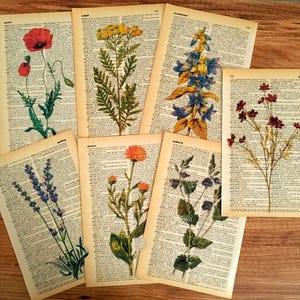 Set di 7 stampe di dizionario di fiori selvatici, stampe di collezione floreale, stampe botaniche antiche, stampe da parete botaniche, poster fantastici, arte antica