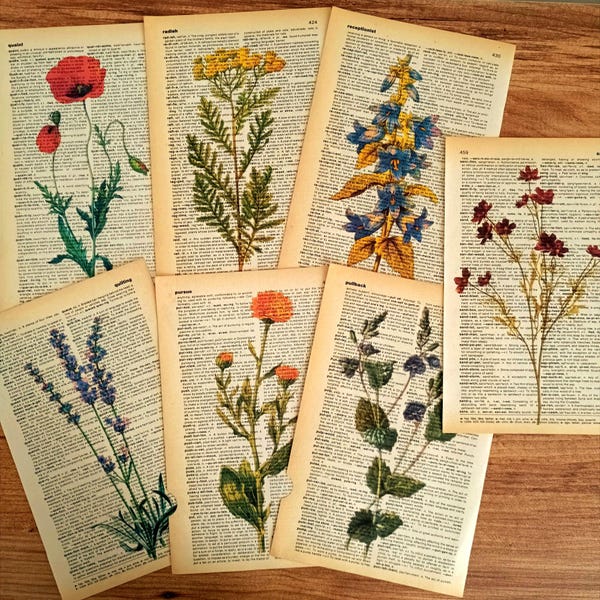 Set of 7 Wildflower Dictionary Print, Floral Collection Print, Antique Botanical Prints, Botanical Wall Print, Cool Posters, Antique Art