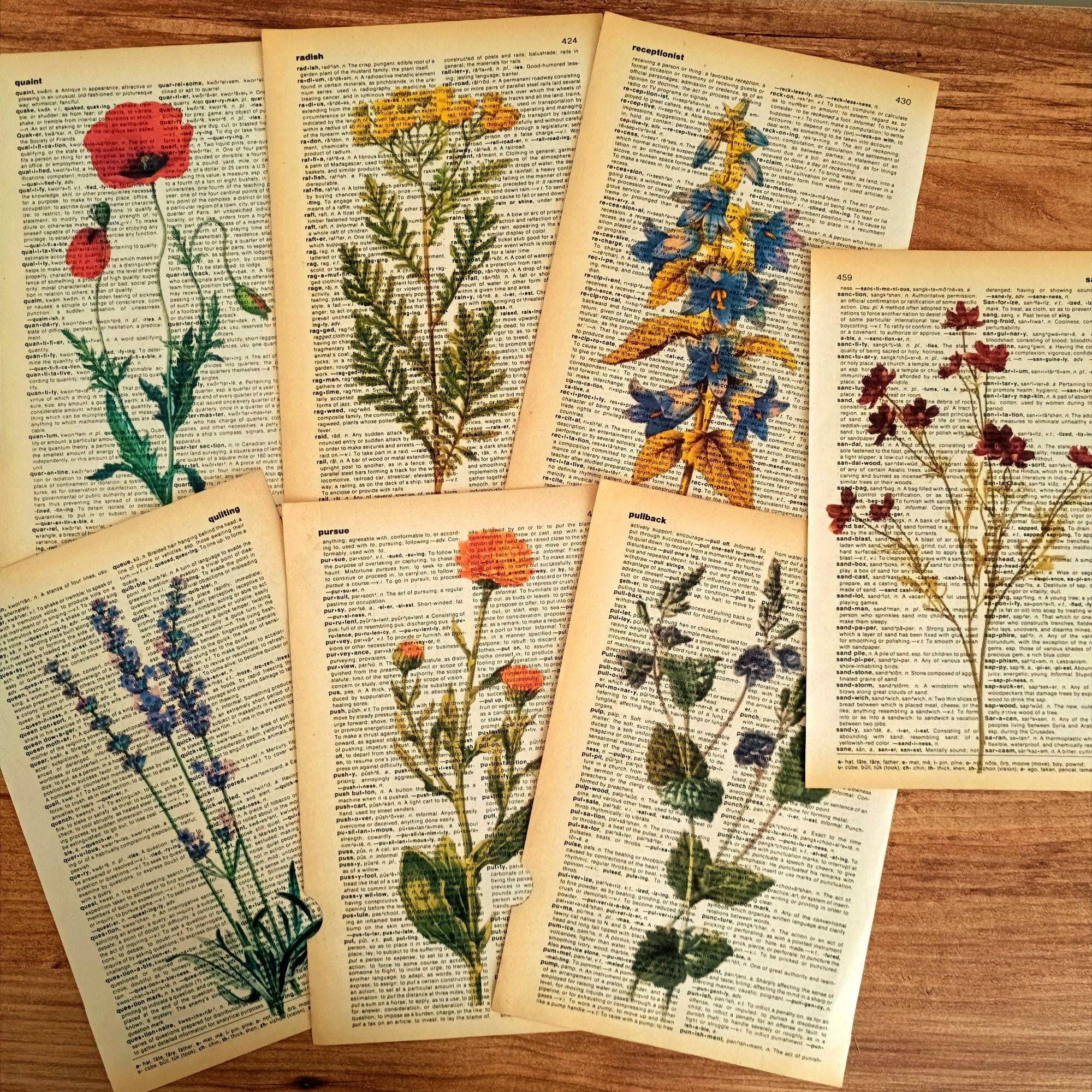 Set of 7 Wildflower Dictionary Print, Floral Collection