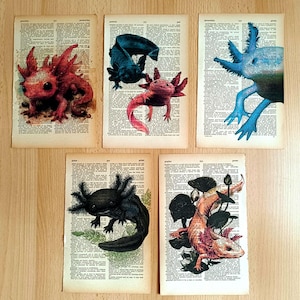 Może przedstawiać: Pięć różnych ilustracji aksolotli wydrukowanych na starych stronach słownika. Axolotl są przedstawione w różnych kolorach, w tym różowym, niebieskim, czarnym i połączeniu różowego i czarnego. Każda ilustracja jest otoczona tekstem ze stron słownika.