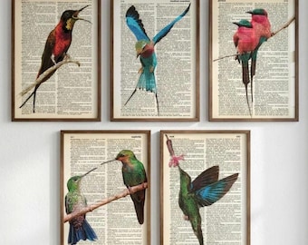Hummingbird Theme Dictionary Art, Wall Print, Vintage Prints, Hummingbirds, Bird Prints, Bird Art, Trendy Prints, Wall Decal, Animal Print